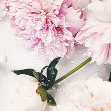 Alinacutle Simulación Gotas De Rocío Piedras De Chispas De Piedras Preciosas Agitadoras De Piedras Gota De Agua Para Hacer Tarjetas De Manualidades En Papel, Decoración De Scrapbooking - transparente - Ver 3