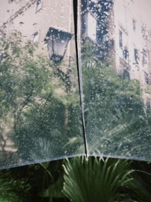 1pc White Clear Manual Umbrella - White - View 2