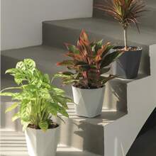 3 件装花盆，深灰色/浅灰色/米色塑料花盆，带托盘的现代装饰性小花盆，花卉植物容器种子起始盆，适用于所有室内植物、多肉植物、草本植物和幼苗苗圃 - 彩色 - 查看 2