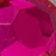 Rosa Fucsia