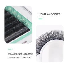 Glamlash 12Rows W Shape 4D Premade Volume Easy Fans False Lashes C D L LU Curl Nature Soft Light Individual Lashes Clover Bloom Eyelashes Extension Lash Clusters,Eye Lash Clusters,Individual Eyelashes,Lashes,Fake Lashes - Black - View 5