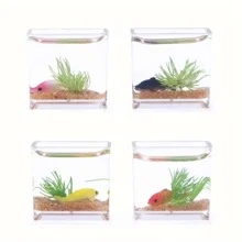 1pc Mini Square Glass Fish Tank, Home Aquarium Decoration, Diy Scene Ornaments, Miniature Accessory Best Gifts - Orange - View 3
