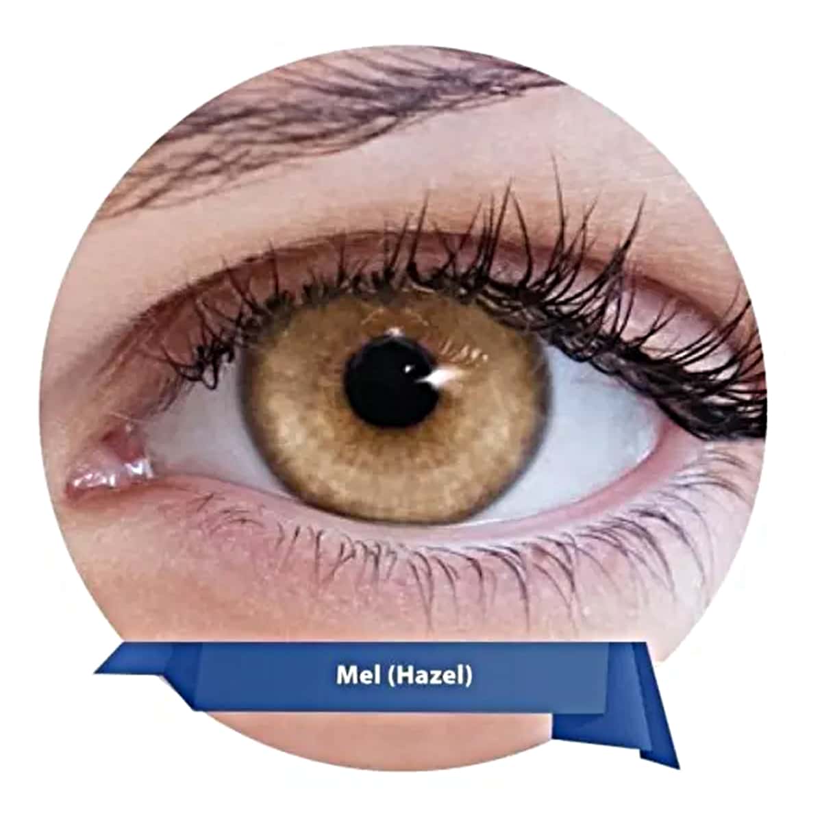 Antares Imagem Foto e Otica Cosmetic Contact Lenses - MEL - Xem 1