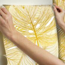 Wall Paper - 12 triệu - Xem 4