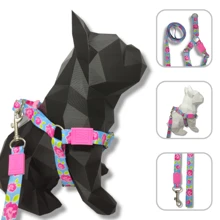 Pet Collars, Leashes & Harnesses Sets - L - View 1