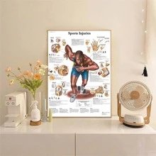 Carteles introducción a deportivo articulación muscular sistema esqueleto de lona , sin marco - estilo 5 - Ver 2