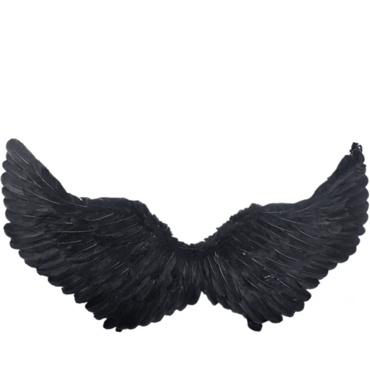 Party Packs - Black - View 1