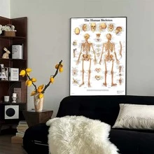 1 Miếng Con người Sọ Xương sống tranh sơn dầu Áp phích , Con người Thuốc Không có khung Phong cách Y khoa Giáo dục Văn phòng Treo Hình ảnh - phong cách 1 - Xem 3