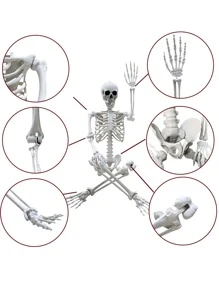 165cm Classic Human Skeleton Decor, Life Size Human Skeleton Model For Indoor Outdoor Decoration - Beige - View 3