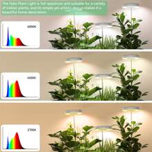 JESLED 24顆led全光譜室內植物生長燈,圓形成長燈,具備自動開/關定時器和5v調光功能,適用於小型植物、多肉植物,暖白色,1入組 - 白色 - 查看 8
