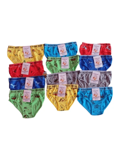 12 Piezas Calzoncitos para NIÑO, Con Estampado Infantil, (Los Colores y Diseños se Mandan al Azar) (Tallas 5 a 12)