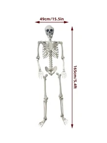 165cm Classic Human Skeleton Decor, Life Size Human Skeleton Model For Indoor Outdoor Decoration - Beige - View 2