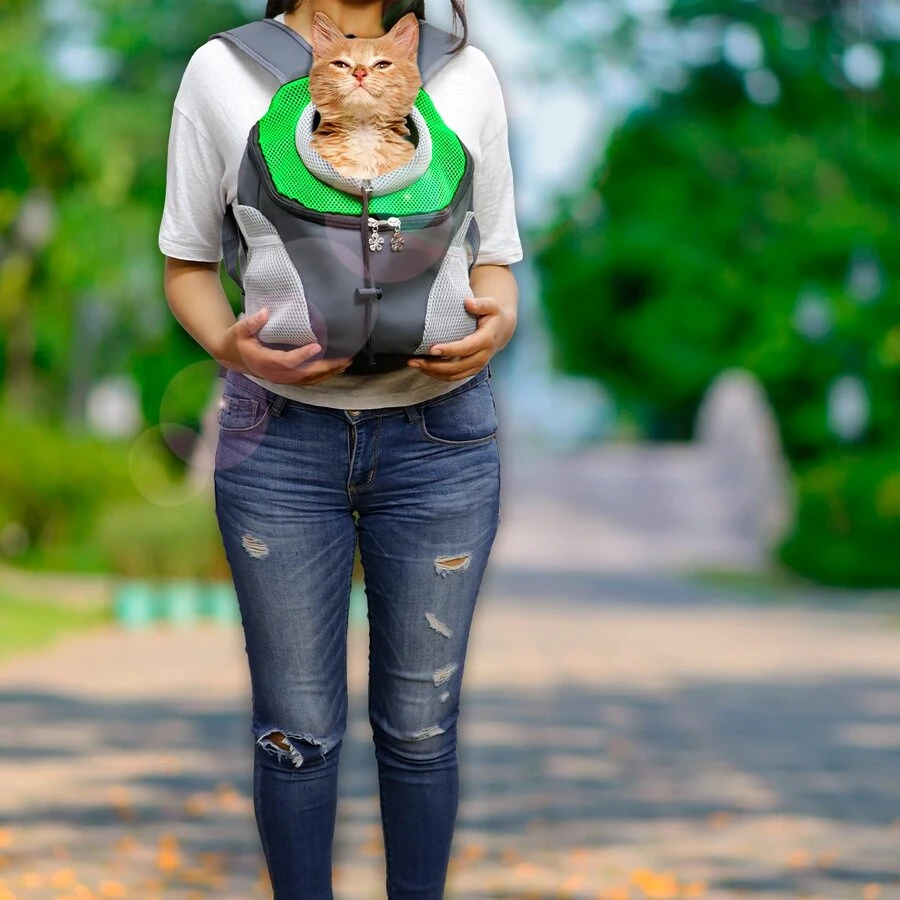 1 Pieza Mochila Cangurera Transportadora para Perros o Gatos, Bolso Transportadora Mascotas Transpirable para Viaje - Verde - Ver 1