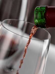 1 件亚克力塑料防碎红酒/香槟/白葡萄酒/鸡尾酒/高脚杯，300 毫升，情人节礼物，适合户外、露营、父亲礼物