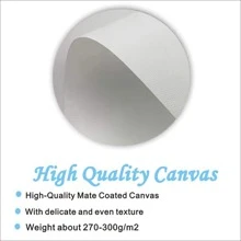 2pcs Sexy Woman Modern Toilet Wall Art Canvas Painting For Home Decor Wall Printing Painting No Frame,Poster Gifts Birthday Graduation
