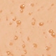 T1020