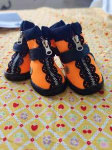 南瓜設計寵物鞋