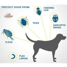 Collar repelente de pulgas para perro - Unitalla - Ver 4