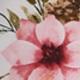Rose vif
