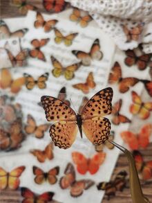 1 Pack Of 40pcs Vintage Butterfly Diy Decorative Stickers - Multicolor - View 3