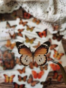 1 Pack Of 40pcs Vintage Butterfly Diy Decorative Stickers - Multicolor - View 4