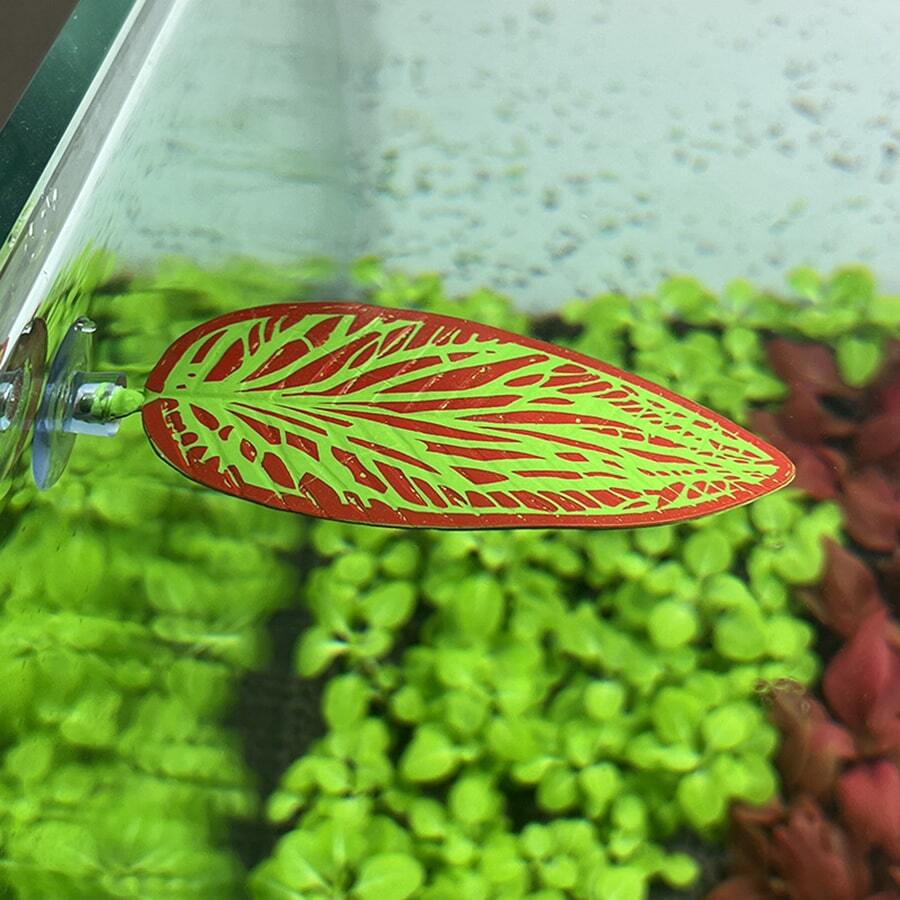 1入養魚人工模擬產卵葉,水族箱裝飾人工水生植物,攀爬寵物餵食葉,鬥魚休息與孵化葉,魚缸床 - 綠色 - 查看 1