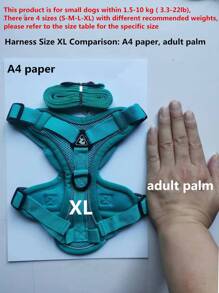 Reflective Pet Harness And Leash Set For Dog & Cat, Escape Proof Adjustable Small Dog Harness With Soft Mesh