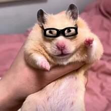 Lindos Mini Lentes Para Hámsters - Estilos De Doctor Y Dama - Blanco y Negro - Ver 1