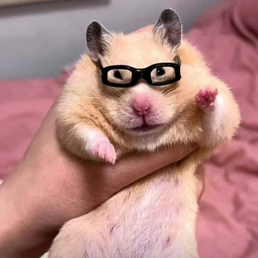 Lindos Mini Lentes Para Hámsters - Estilos De Doctor Y Dama - Blanco y Negro - Ver 1