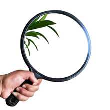 Espejo grande redondo para peluquería con Belleza