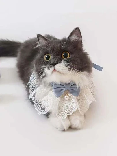 1pc Pearl Pendant & Bowknot Decorated White Lace Floral Edge Pet Bowtie, Suitable For Dogs And Cats