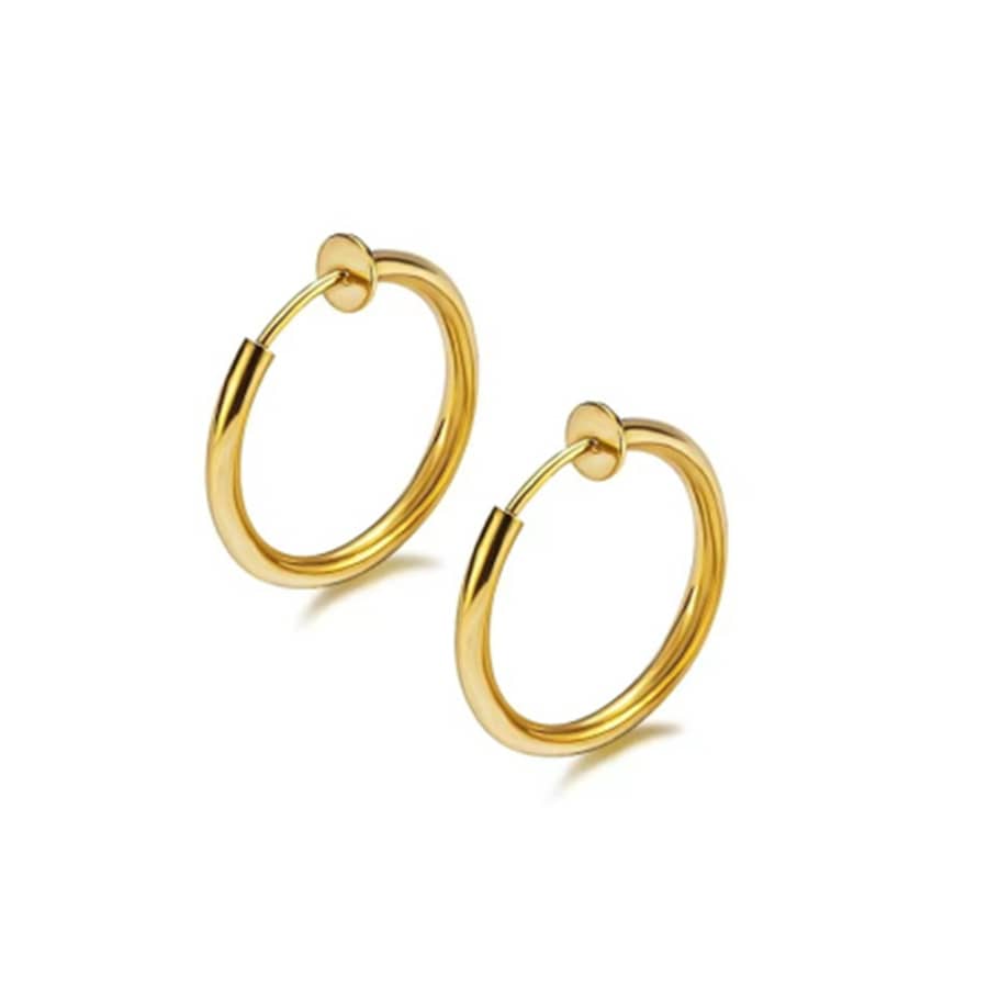 1pair Unisex Invisible Clip On Earrings, No Piercing Needed, With Spring Hoop & Spiral Design