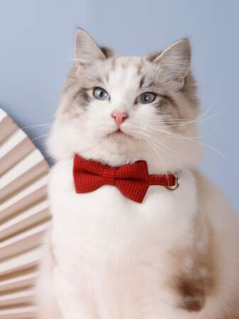 1 件蝴蝶結扣可伸縮貓項圈配件