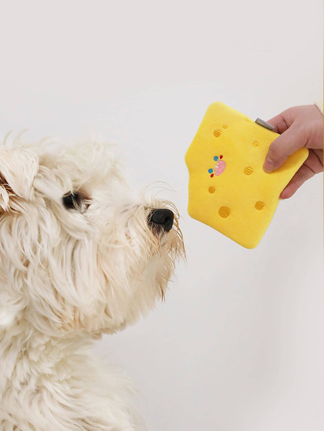 1pc Pet Plush Squeaky Toy In Cheese & Biscuit Design, Suitable For Hide-and-seek And Sniffing Games, With Crinkle Paper For Cats And Dogs - Yellow - View 1