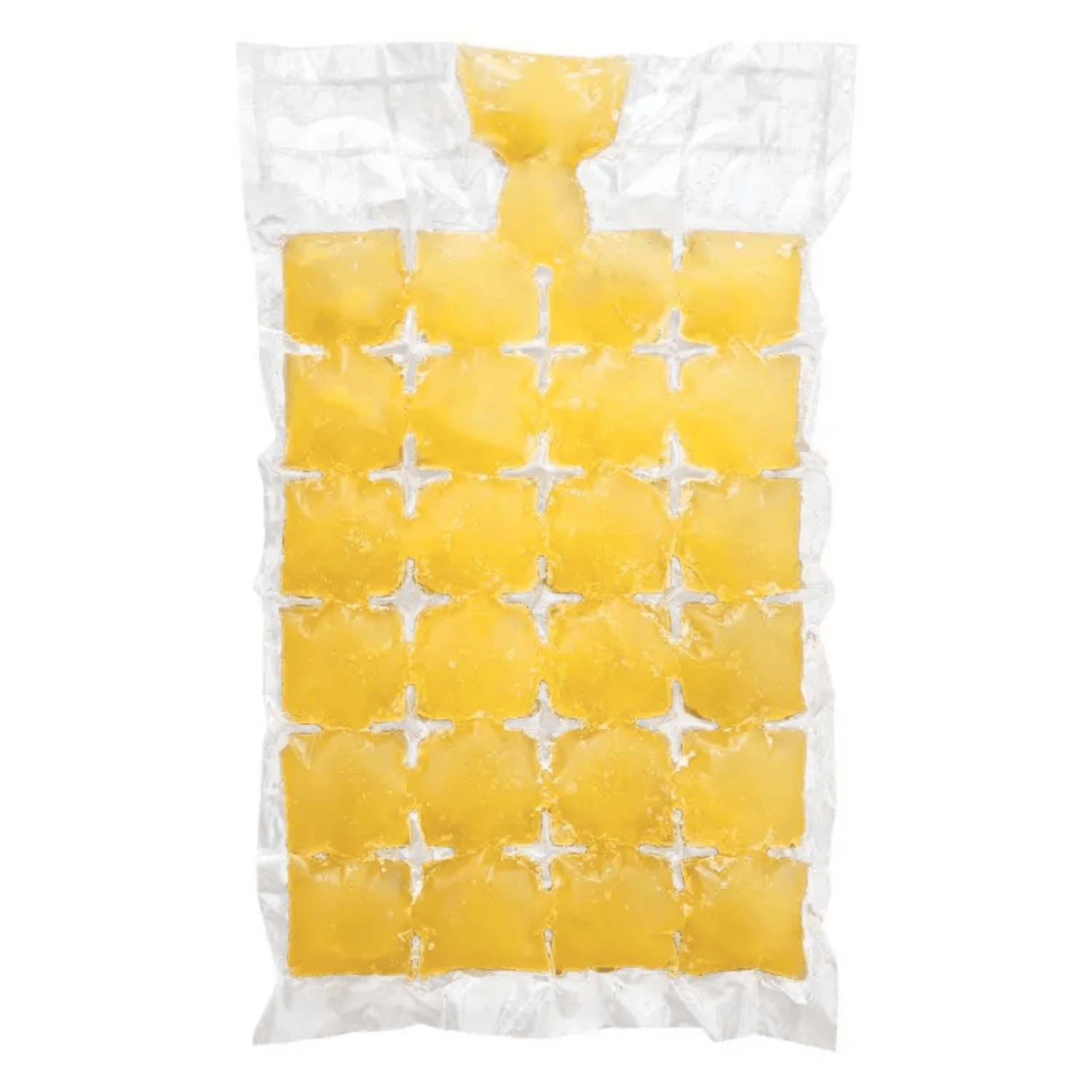 10pcs Disposable Ice Making Bags With 24 Selfsealing Ice Cube