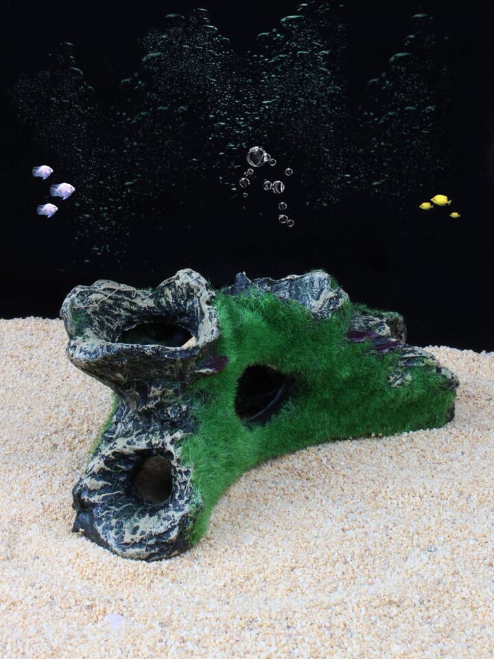 流木 空洞型バニヤン盆栽流木 水槽レイアウト【職人技】 小型水槽流木