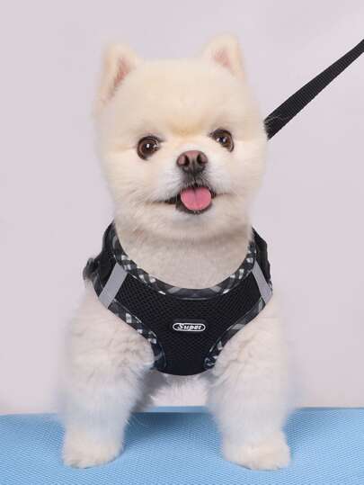 Supet 透氣反光格子邊胸背帶套裝，適用於小型犬，包括一條牽繩，適用於室內和室外的貓狗