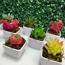 Artificial Plants - Màu Cam cháy - Xem 4