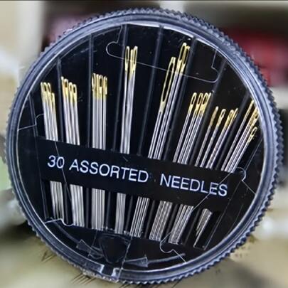 30pcs Golden Tail Hand Sewing Needles With Black Storage Case, Sewing Kit For Clothes And Home