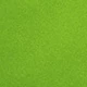 Pistachio