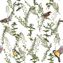 Wall Paper - 12 triệu - Xem 2