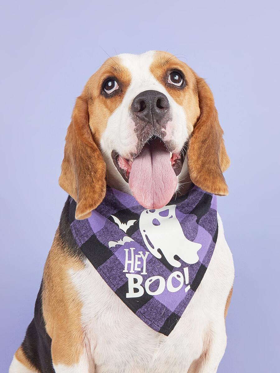 1 Pieza Bandana Suave De Una Sola Capa Cuadriculada Con Luces Led Para Mascotas Para Halloween, Adecuada Para Gatos Y Perros, También Adecuada Para Decoración De Halloween - Multicolor - Ver 1