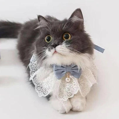 1 件珍珠吊墜和蝴蝶結裝飾白色蕾絲花邊寵物領結,適合狗和貓