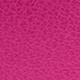 Rosa Fucsia