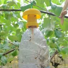 Trái cây Cây bắt ruồi Nhựa Vàng Drosophila Cạm bẫy Côn trùng Điều khiển Đối với Nông trại Vườn cây ăn trái - Màu vàng - Xem 6