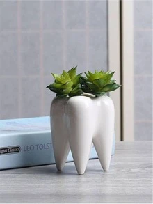 1pc White Ceramic Tooth Shaped Planter, Modern Home Art Decoration, Creative Household Flower Pot - White - View 1