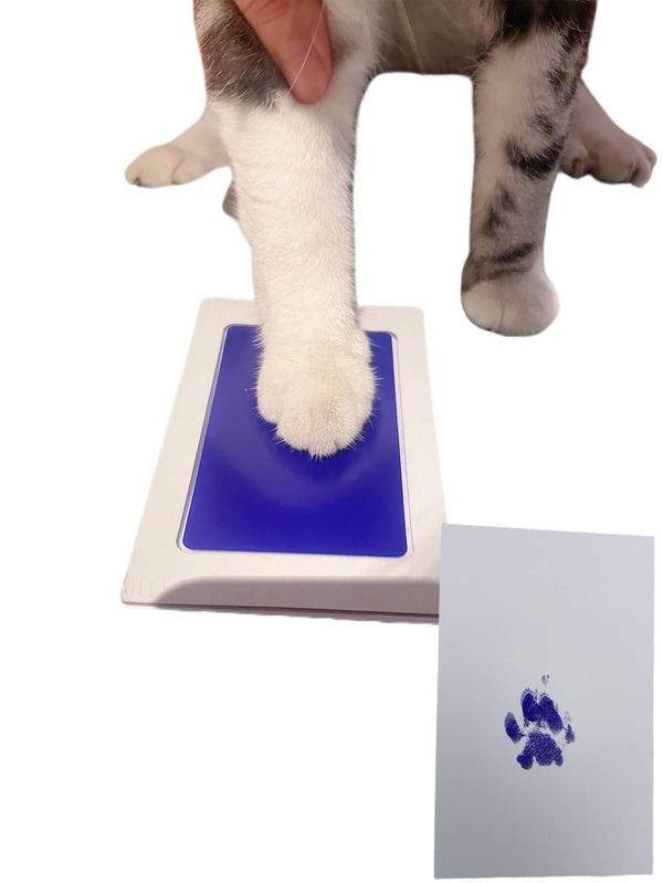Disposable Ink Pad For Pet Memorial Keepsake, No Mess Handprint And
