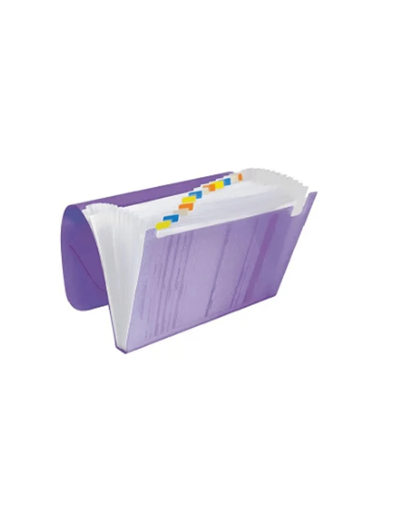 Pasta Sanfonada com 12 Divisorias A4 Transparente Cores a Escolha - Violeta - Visão 1
