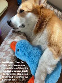 狗玩具泰迪熊伴侶互動寵物玩具 - 彩色 - 查看 1