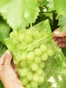 10 件花園防鳥蔬菜葡萄果植保袋、禮品袋、網袋、糖果袋帶抽繩戶外使用